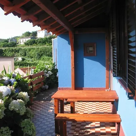 Casa Do Gato Tomas