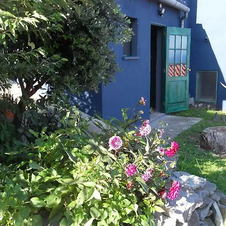 Holiday home Casa Do Gato Tomas Santa Cruz das Flores