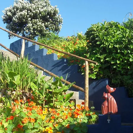 Casa Do Gato Tomas * Santa Cruz das Flores