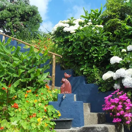 Casa Do Gato Tomas Holiday home